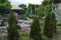 Горячие цены на отдых в сентябре (Крым, Азовское море) - <ro>Изображение</ro><ru>Изображение</ru> #4, <ru>Объявление</ru> #945376