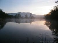 Рыбалка и отдых в Крыму, ловля карпа. - <ro>Изображение</ro><ru>Изображение</ru> #9, <ru>Объявление</ru> #940427