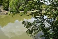 Отдых в горах Крыма, рыбалка в Голубинке - <ro>Изображение</ro><ru>Изображение</ru> #1, <ru>Объявление</ru> #940429