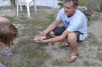 Рыбалка  в Голубинке - <ro>Изображение</ro><ru>Изображение</ru> #2, <ru>Объявление</ru> #940426