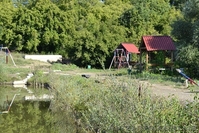 Рыбалка  в Голубинке - <ro>Изображение</ro><ru>Изображение</ru> #4, <ru>Объявление</ru> #940426