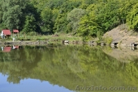 Отдых в Крыму, рыбалка в Голубинке Бахчисарайского района - <ro>Изображение</ro><ru>Изображение</ru> #4, <ru>Объявление</ru> #940423