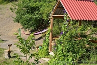 Рыбалка и отдых в Крыму, ловля карпа. - <ro>Изображение</ro><ru>Изображение</ru> #8, <ru>Объявление</ru> #940427