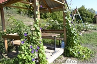 Отдых в горах Крыма, рыбалка в Голубинке - <ro>Изображение</ro><ru>Изображение</ru> #7, <ru>Объявление</ru> #940429