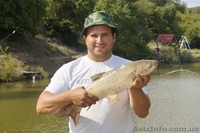 Отдых в горах Крыма, рыбалка в Голубинке - <ro>Изображение</ro><ru>Изображение</ru> #8, <ru>Объявление</ru> #940429