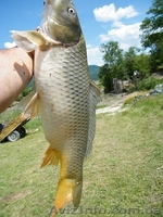 Отдых в Крыму, рыбалка в Голубинке Бахчисарайского района - <ro>Изображение</ro><ru>Изображение</ru> #6, <ru>Объявление</ru> #940423