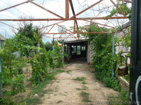 продам дом,большой сад - <ro>Изображение</ro><ru>Изображение</ru> #6, <ru>Объявление</ru> #983664