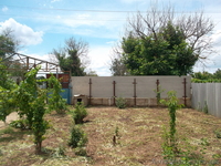 продам дом,большой сад - <ro>Изображение</ro><ru>Изображение</ru> #3, <ru>Объявление</ru> #983664