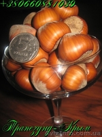 Плоды крупноплодного фундука Трапезунд в скорлупе - <ro>Изображение</ro><ru>Изображение</ru> #3, <ru>Объявление</ru> #974153