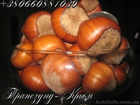 Плоды крупноплодного фундука Трапезунд в скорлупе - <ro>Изображение</ro><ru>Изображение</ru> #6, <ru>Объявление</ru> #974153