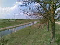 Продам 500 га отличных земель под орошение в Крыму  - <ro>Изображение</ro><ru>Изображение</ru> #4, <ru>Объявление</ru> #1003632