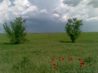 Продам 500 га отличных земель под орошение в Крыму  - <ro>Изображение</ro><ru>Изображение</ru> #3, <ru>Объявление</ru> #1003632