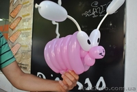 Букеты и композиции из шариков   - <ro>Изображение</ro><ru>Изображение</ru> #3, <ru>Объявление</ru> #1044470