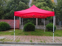 Шатры 2x2м торговые - <ro>Изображение</ro><ru>Изображение</ru> #2, <ru>Объявление</ru> #1060619