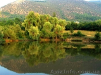 Шикарный видовой участок ЮБК, Байдарская долина - <ro>Изображение</ro><ru>Изображение</ru> #1, <ru>Объявление</ru> #1078534