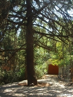 Продам участок в центре г.Ялты 6.7 соток. - <ro>Изображение</ro><ru>Изображение</ru> #2, <ru>Объявление</ru> #1136584