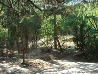 Продам участок в центре г.Ялты 6.7 соток. - <ro>Изображение</ro><ru>Изображение</ru> #1, <ru>Объявление</ru> #1136584