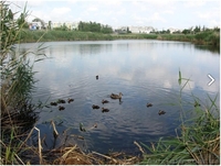 СРОЧНО ПРОДАМ хорошую 3-комнатную квартиру - <ro>Изображение</ro><ru>Изображение</ru> #3, <ru>Объявление</ru> #1160249