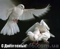 Уникальные услуги ведического психолога. - <ro>Изображение</ro><ru>Изображение</ru> #3, <ru>Объявление</ru> #1187906