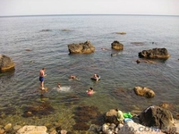 Отдых в Крыму, Симеиз, отель Ассоль. 5 метров до моря - <ro>Изображение</ro><ru>Изображение</ru> #9, <ru>Объявление</ru> #1230143