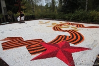 декоративный щебень - <ro>Изображение</ro><ru>Изображение</ru> #3, <ru>Объявление</ru> #1245998