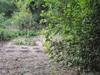 Продам земельный участок в пригороде Ялты - <ro>Изображение</ro><ru>Изображение</ru> #1, <ru>Объявление</ru> #1275506