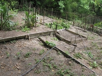 Продам земельный участок в пригороде Ялты - <ro>Изображение</ro><ru>Изображение</ru> #3, <ru>Объявление</ru> #1275506