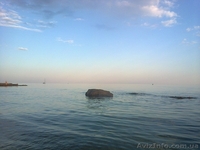 Продам земельный участок в пригороде Ялты - <ro>Изображение</ro><ru>Изображение</ru> #6, <ru>Объявление</ru> #1275506