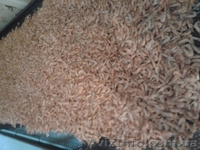 Продам черноморскую креветку оптом и в розницу - <ro>Изображение</ro><ru>Изображение</ru> #3, <ru>Объявление</ru> #1271238