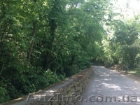 Участки по 10 соток. Ялта. - <ro>Изображение</ro><ru>Изображение</ru> #3, <ru>Объявление</ru> #1295848