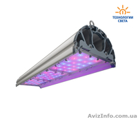 Светодиодное освещение для всех видов помещений - <ro>Изображение</ro><ru>Изображение</ru> #7, <ru>Объявление</ru> #1308519