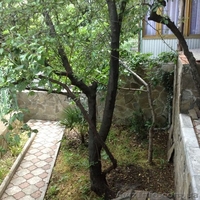 Продается дом 150м2 в Ялте (Кореиз) - <ro>Изображение</ro><ru>Изображение</ru> #4, <ru>Объявление</ru> #1325708