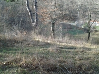 Продается участок в Ялте 15 сот (Магоби) - <ro>Изображение</ro><ru>Изображение</ru> #2, <ru>Объявление</ru> #1365643