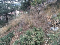 Продажа участка в Большой Ялте 6 сот - <ro>Изображение</ro><ru>Изображение</ru> #2, <ru>Объявление</ru> #1368787