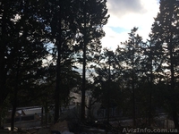 Продажа участка Ялте 9 сот пгт Кореиз - <ro>Изображение</ro><ru>Изображение</ru> #3, <ru>Объявление</ru> #1369963