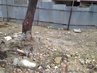 Продается  дом с участком в Ялте - <ro>Изображение</ro><ru>Изображение</ru> #4, <ru>Объявление</ru> #1408781