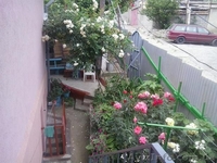 Отдых в Крыму. Сдам 2 комнаты в частном доме - <ro>Изображение</ro><ru>Изображение</ru> #3, <ru>Объявление</ru> #1456389