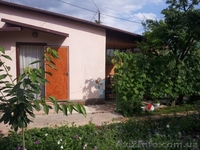 Сдам  домик в Новофедоровке под Саками, Западный Крым - <ro>Изображение</ro><ru>Изображение</ru> #3, <ru>Объявление</ru> #1460264