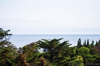 Квартира в Ялте у моря - <ro>Изображение</ro><ru>Изображение</ru> #5, <ru>Объявление</ru> #1502875