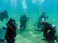 Обучение дайвингу в Севастополе. Международная сертификация - <ro>Изображение</ro><ru>Изображение</ru> #1, <ru>Объявление</ru> #1530033