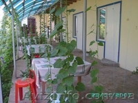 Отдых в Крыму. Николаевка - <ro>Изображение</ro><ru>Изображение</ru> #2, <ru>Объявление</ru> #1541560