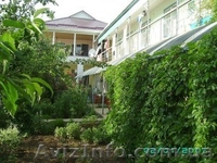 Отдых в Крыму. Николаевка - <ro>Изображение</ro><ru>Изображение</ru> #3, <ru>Объявление</ru> #1541560