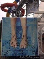 Готовый бизнес Doctor Fish - <ro>Изображение</ro><ru>Изображение</ru> #1, <ru>Объявление</ru> #1577651