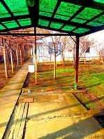 Отличный дом недалеко от моря в Севастополе - <ro>Изображение</ro><ru>Изображение</ru> #1, <ru>Объявление</ru> #1605618