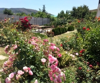 Коттедж «Астерия». Балаклава. Севастополь - <ro>Изображение</ro><ru>Изображение</ru> #3, <ru>Объявление</ru> #829227