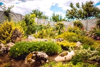 Коттедж «Астерия». Балаклава. Севастополь - <ro>Изображение</ro><ru>Изображение</ru> #8, <ru>Объявление</ru> #829227