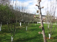 Дом в Крыму, Красносёловка - <ro>Изображение</ro><ru>Изображение</ru> #5, <ru>Объявление</ru> #1706024