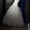 продам свое свадебное платье #119595