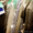 Прачечная-Химчистка "Марина" - Стирка белья в г. Симферополь - <ro>Изображение</ro><ru>Изображение</ru> #5, <ru>Объявление</ru> #87838