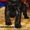 цвергшнауцера щенки чёрные - <ro>Изображение</ro><ru>Изображение</ru> #2, <ru>Объявление</ru> #170851